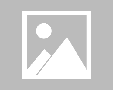 现代宠物领养网站的设计与实现，技术赋能公益新生态_关注公众号[遵好邻家]